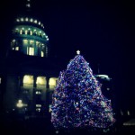 Boise Capitol Christmas Tree