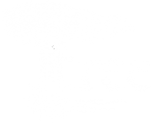 Jtree SEO White Logo