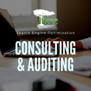Boise SEO Consulting
